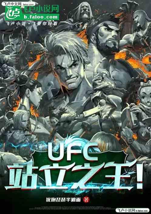 UFC：站立之王